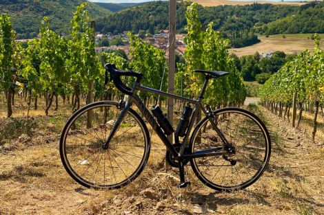 Fahrradfahren in den Weinbergen