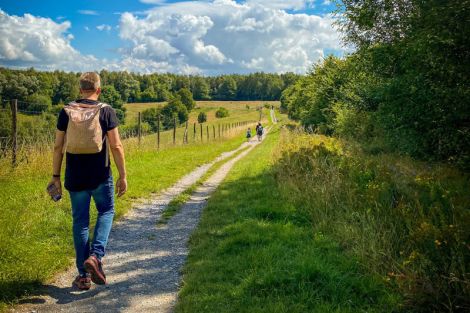 Wanderungen durch die Weinberge 